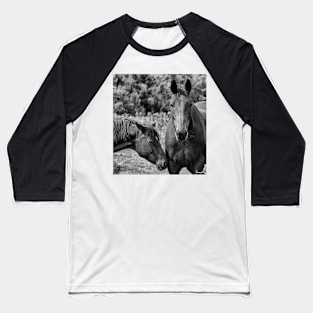 Horses on Pereau Rd Baseball T-Shirt